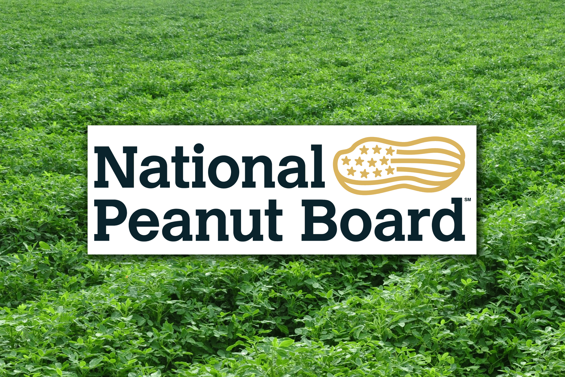 Newsroom Peanut Comission