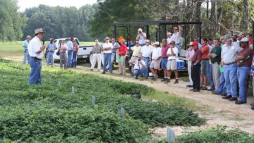 UGA Southeast Research and Education Center to host Midville Field Day Aug. 10
