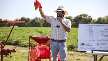 CAES experts study oil production to boost Georgia’s peanut power