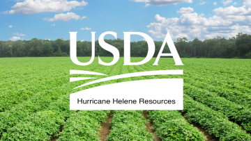 USDA Offers Resources, Adds Flexibilities to Disaster Assistance Programs to Help Hurricane Helene-Impacted Farmers, Foresters and Communities