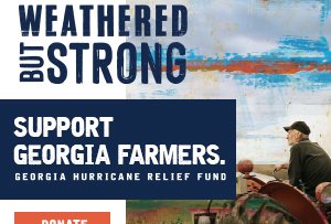 Georgia Ag Partners launch Hurricane Relief Fund for farmers impacted by Hurricane Helene