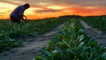 Georgia Peanut Commission announces 2025 calendar photo winners