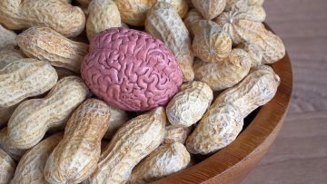 Stay Sharp & Boost Your Mind with Peanuts