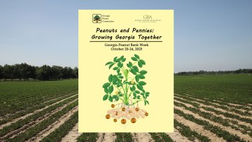 Georgia Peanut Bank Week celebrates peanut harvest Oct. 20-24, 2025