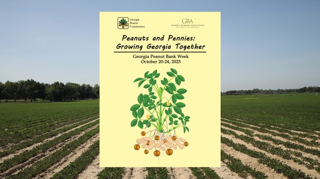 Georgia Peanut Bank Week celebrates peanut harvest Oct. 20-24, 2025